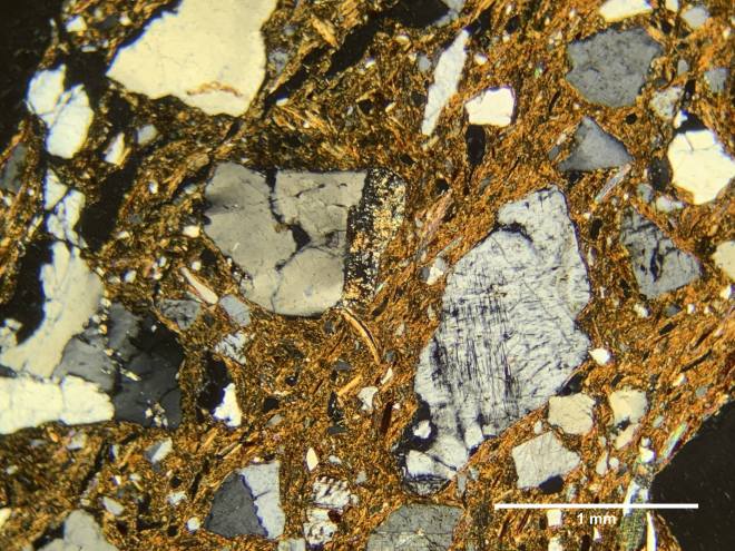 101986597_656791195177403_4116951009550116685_n